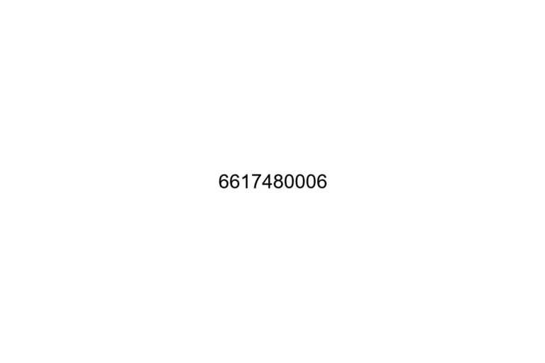 6617480006