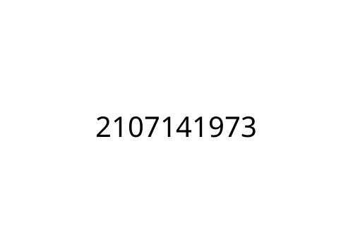 2107141973