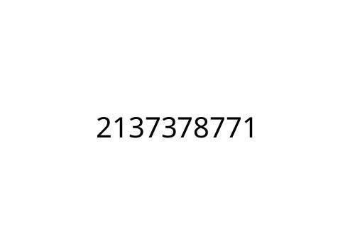 2137378771