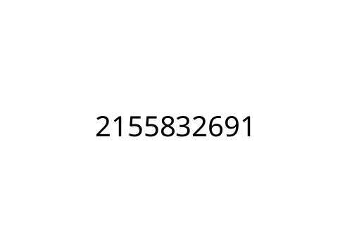 2155832691