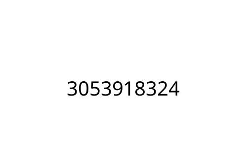 3053918324