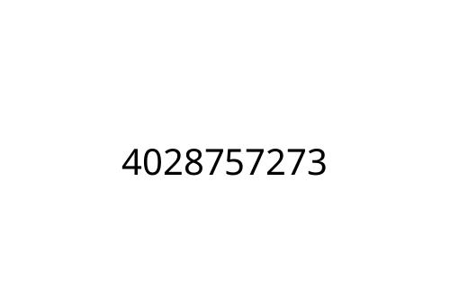 4028757273