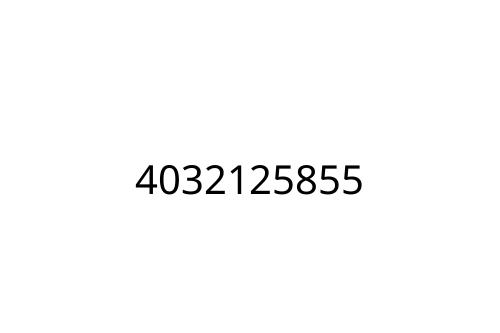 4032125855