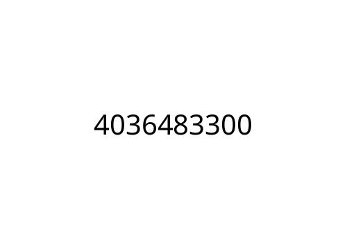 4036483300