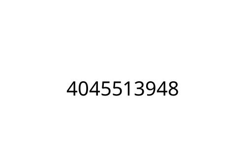 4045513948