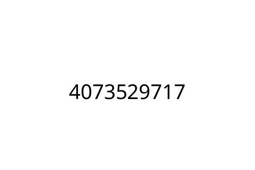 4073529717