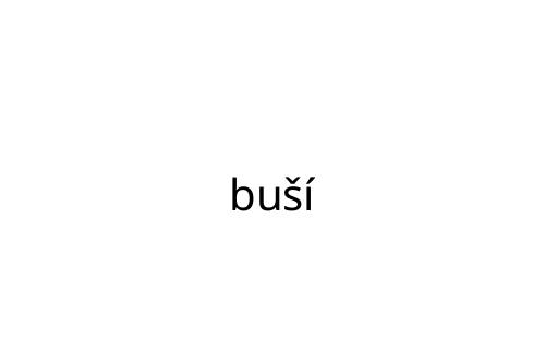 bu__