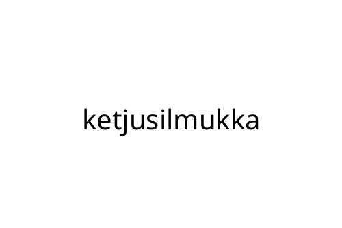 ketjusilmukka