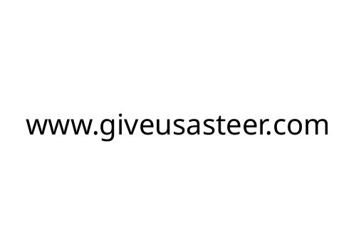 www_giveusasteer_com
