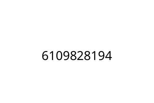 6109828194