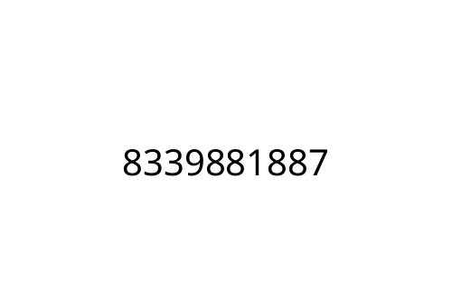 8339881887