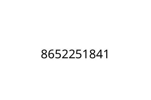 8652251841