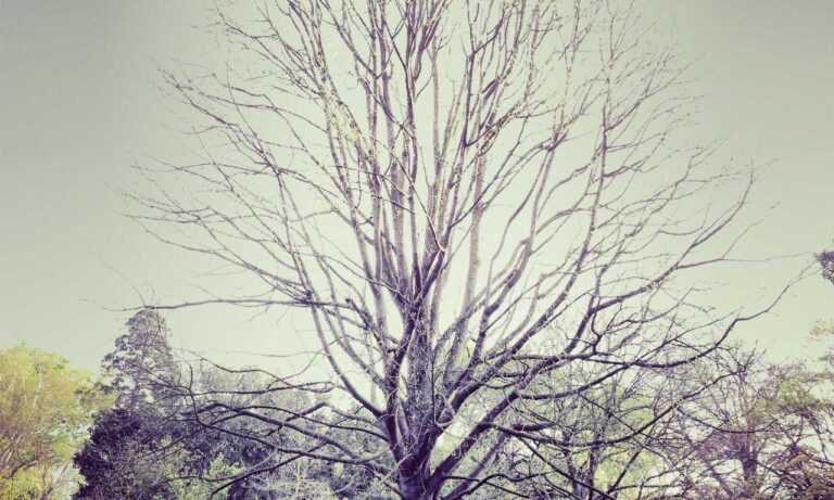 cyroket2585 patch new version