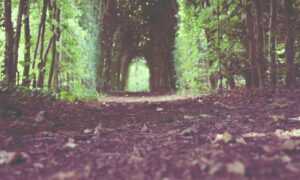 when hondingo88 patches pc