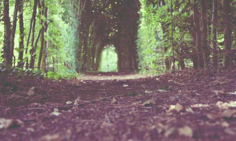 when hondingo88 patches pc