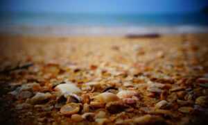 the most common problems encountered with basements are related to: