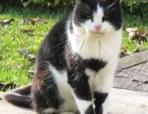 the person you dialed is not able to receive calls at this time