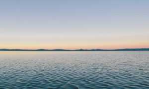 this excerpt is an example of how contributes to the catastrophe in romeo and juliet.