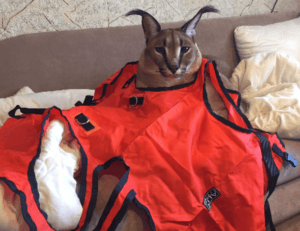 tiny bumps on face after exfoliating