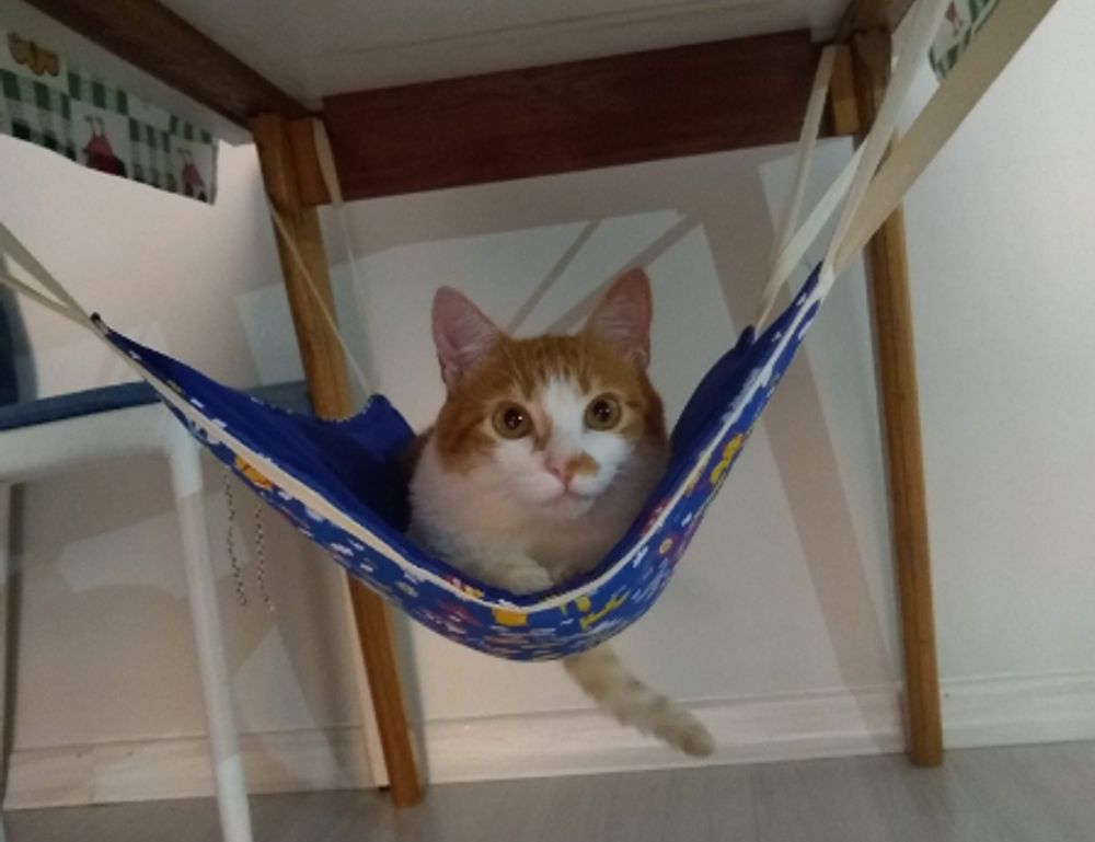 usps tracking status not available at the moment. please try again later