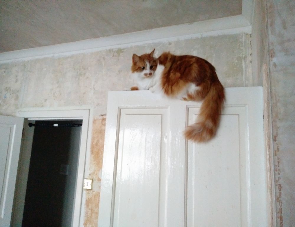 varsity letter pins and bars meaning