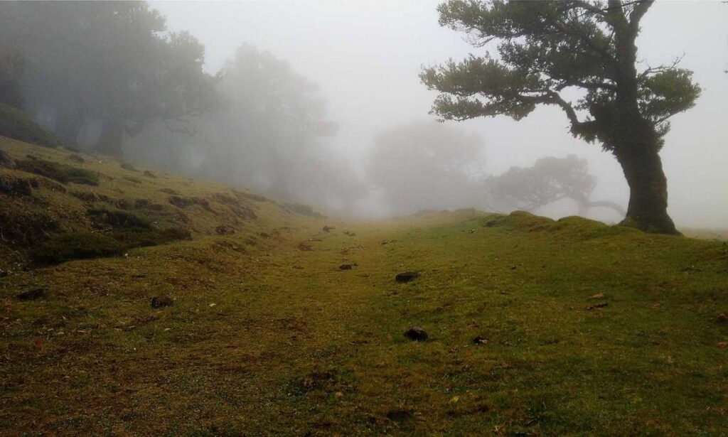 vegan skincare retinol and vitamin c home and body