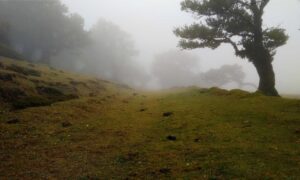 vegan skincare retinol and vitamin c home and body