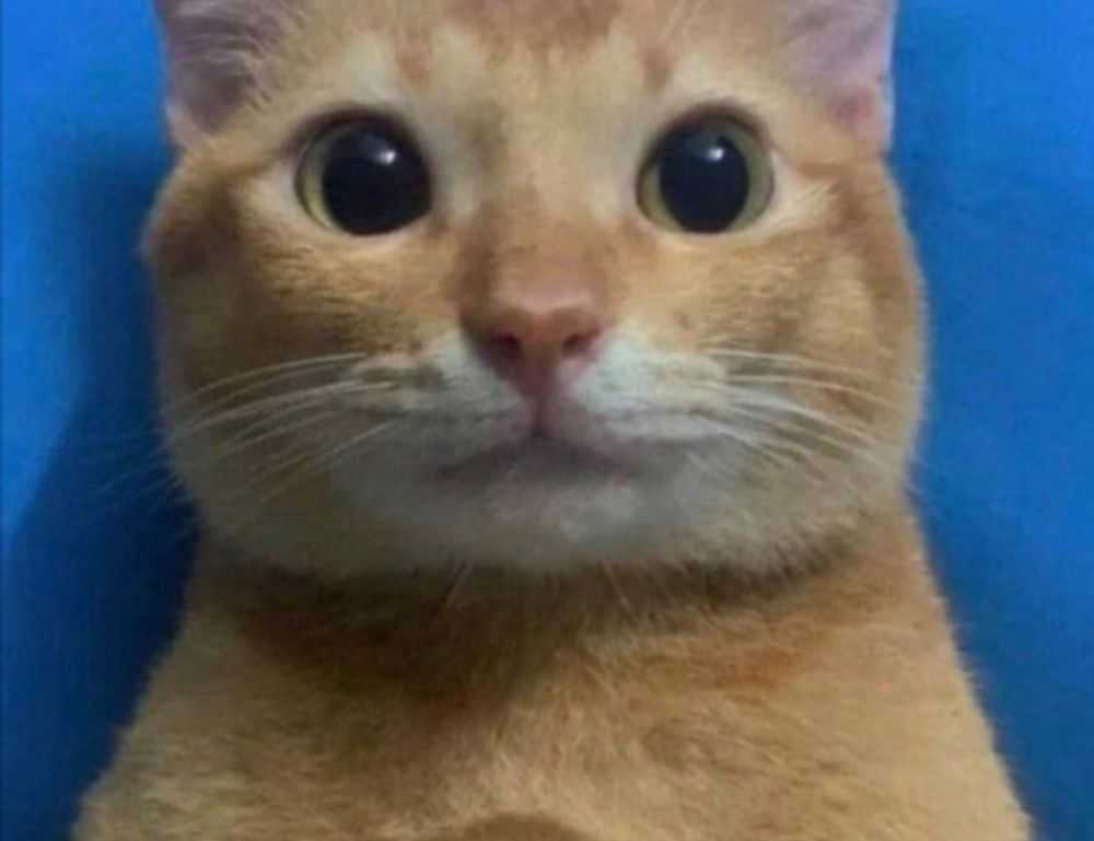 vicks vaporub for wrinkles before and after