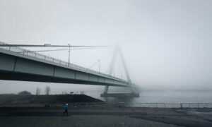 was anybody born on december 6 2006