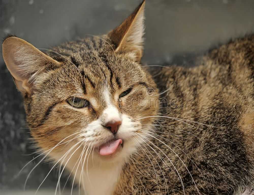 was anyone born on dec 6 2006