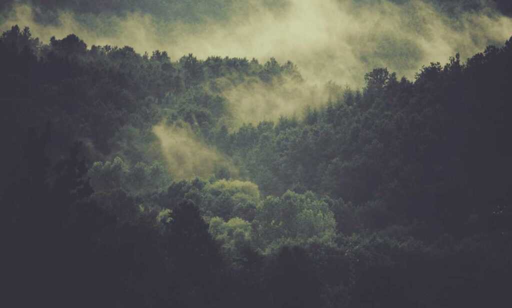 was anyone born on december 6 2006