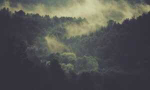 was anyone born on december 6 2006