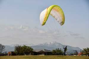 was anyone born on december 6th 2006