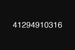 41294910316