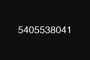 5405538041