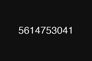 5614753041