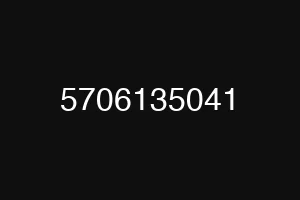 5706135041