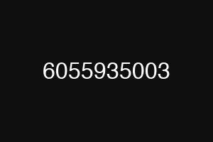6055935003