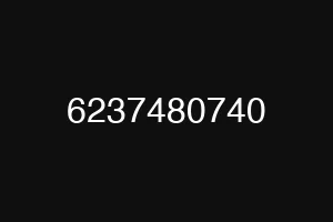 6237480740