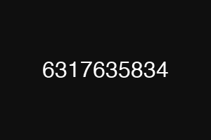6317635834