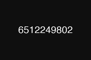 6512249802