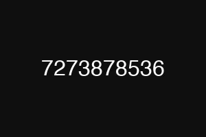 7273878536