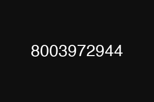 8003972944