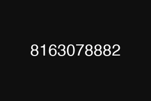 8163078882