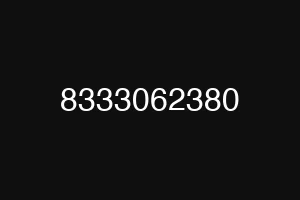 8333062380