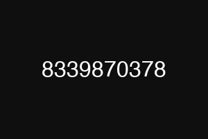 8339870378