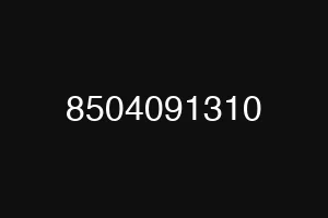 8504091310
