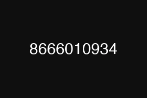 8666010934