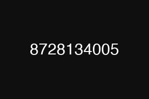8728134005