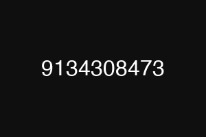 9134308473